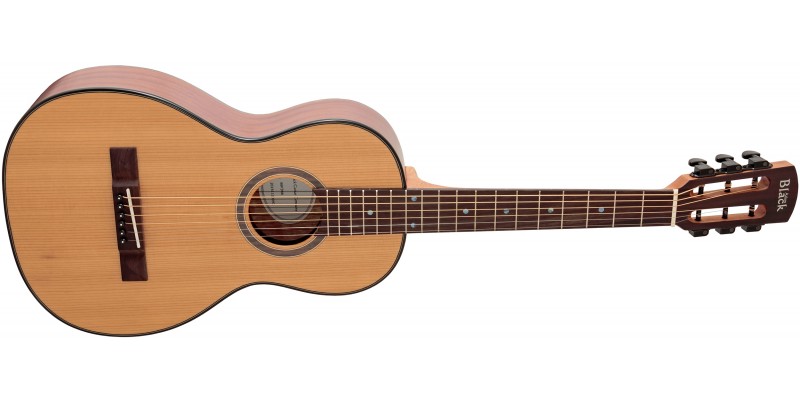 dạy đàn guitar tại nhà